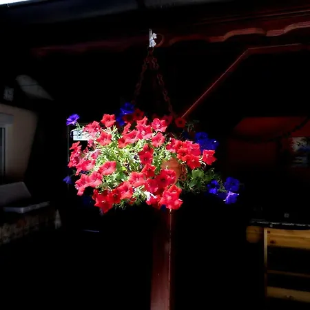 релакс Pensionat Pavel Banja