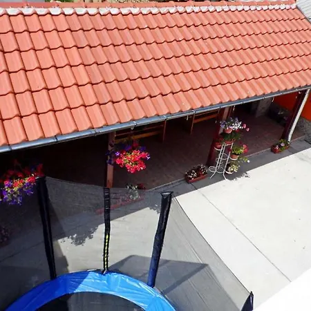 релакс Pensionat Pavel Banja