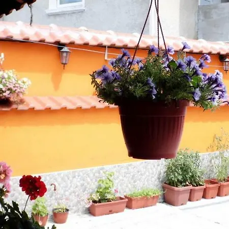 релакс Pensionat Pavel Banja