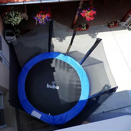 релакс Pavel Banja